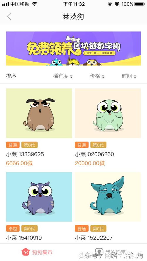 軟件先行，硬件奠基 我的區塊鏈產品參與策略